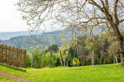 Scenic view of field against trees