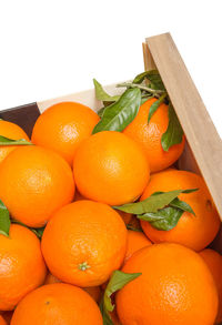 Close-up of orange fruits
