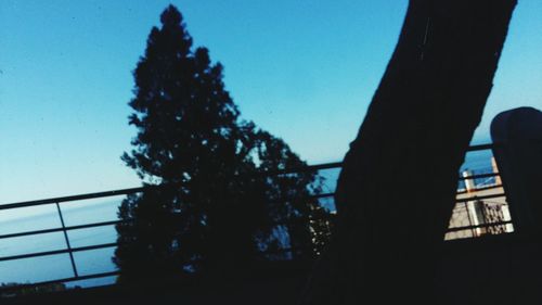 Low angle view of silhouette trees against blue sky