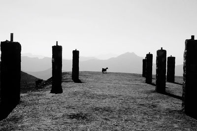 Panoramic view of sea against sky