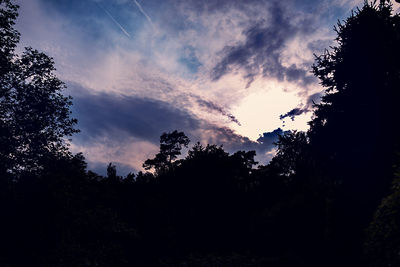 Silhouette of trees against cloudy sky