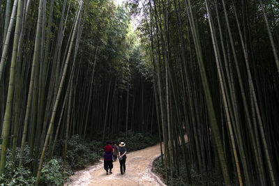 Rear view of people walking at forest