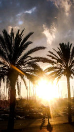 Silhouette palm trees against sky during sunset