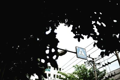 Low angle view of tree against sky