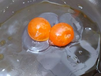 High angle view of orange fruit in water