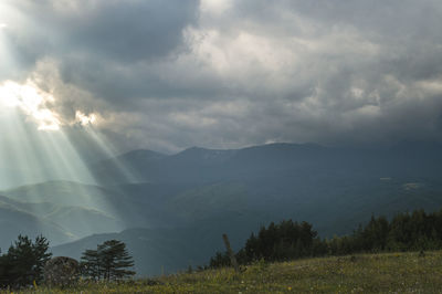 Scenic view of landscape against sky