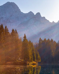 Scenic view of lake by trees against sky