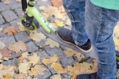 Low section of boy wearing autumn leaves
