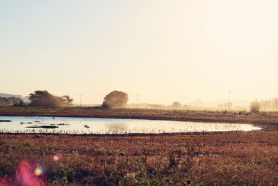 Scenic view of river against clear sky