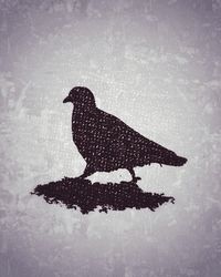 Side view of a bird in snow