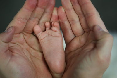Cropped hands of person holding baby legs