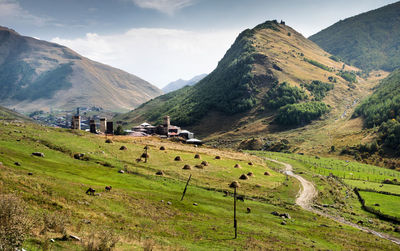 Scenic view of field and mountains against sky