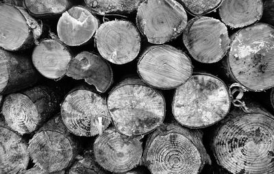 Stack of logs