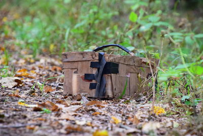 Close-up of abandoned field