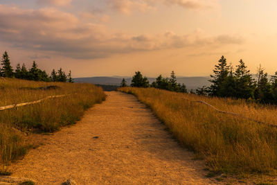 Scenic view of field against sky during sunset