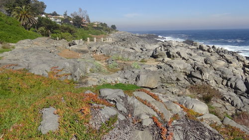 Scenic view of rocks on beach against sky