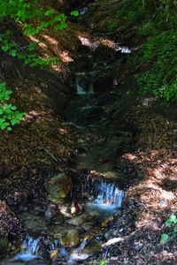 Stream flowing through rocks in forest