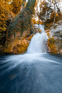 Scenic view of waterfall in forest