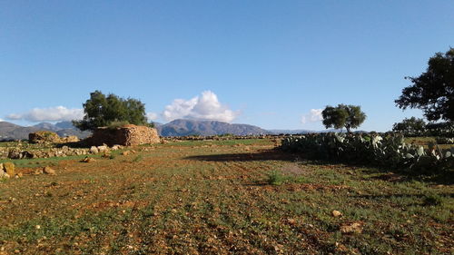 Scenic view of field against blue sky