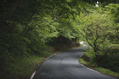 Empty road amidst trees in forest