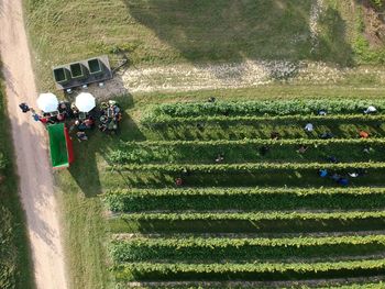 High angle view of people in field