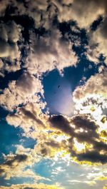 Low angle view of silhouette birds against sky