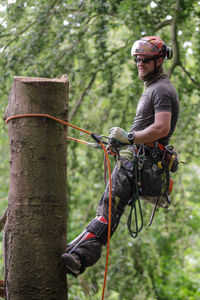 The dead spruce stands close to the house, the expert solves the problem