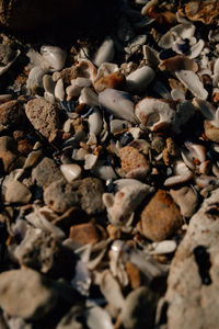 High angle view of pebbles on field