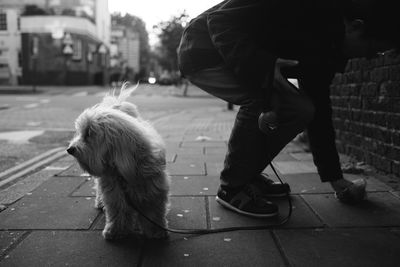 Low section of man with dog sitting in city