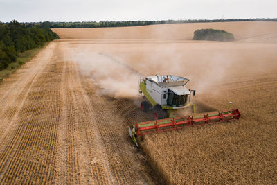 Scenic view of agricultural field