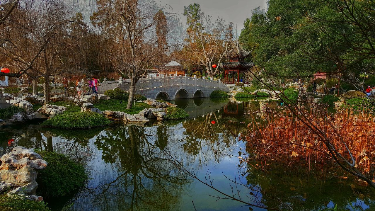 water, tree, nature, reflection, growth, plant, outdoors, beauty in nature, day, flower, sky, no people