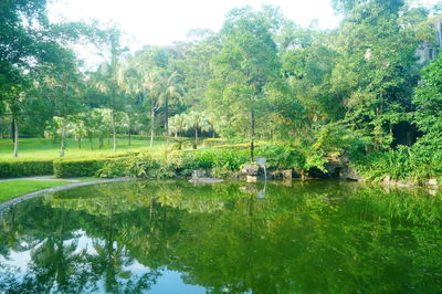 Scenic view of lake by trees