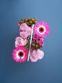 Close-up of pink flower against blue background