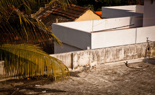 Houses seen from building terrace