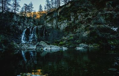 Reflection of trees in lake