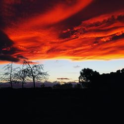 Silhouette trees on landscape against dramatic sky during sunset