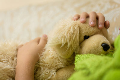 Cropped hand of child holding stuffed toy