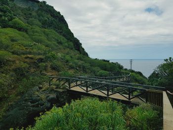 Scenic view of tree by mountain against sky