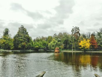 Scenic view of lake in forest against sky