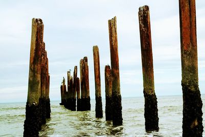 Wooden posts on beach against sky