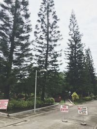 Trees in park against sky