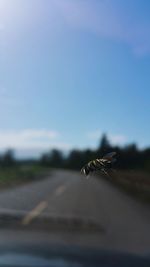 Close-up of car windshield against clear sky