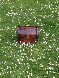 Wooden trunk on grass