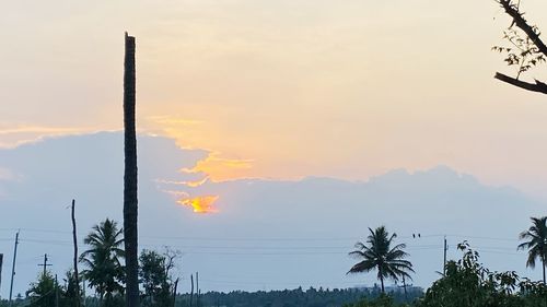 Silhouette trees against sky during sunset