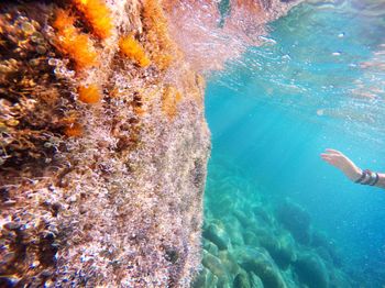 Man swimming in sea