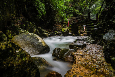 View of waterfall in forest