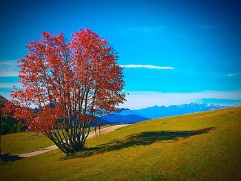 Scenic view of landscape against blue sky