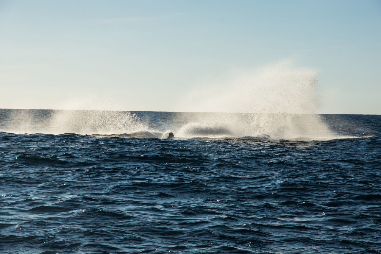 WAVES SPLASHING IN SEA AGAINST CLEAR SKY