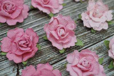 High angle view of pink roses