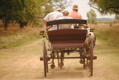 Rear view of men sitting in horse cart